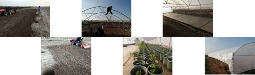Construction of agricultural co