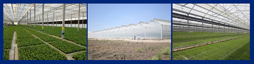 Construction of agricultural co