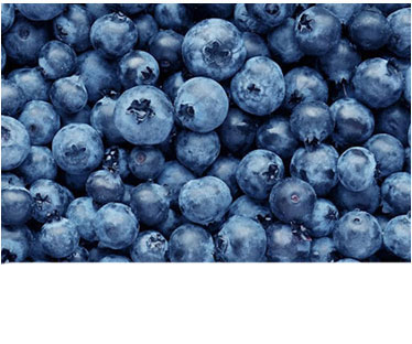 Blueberry