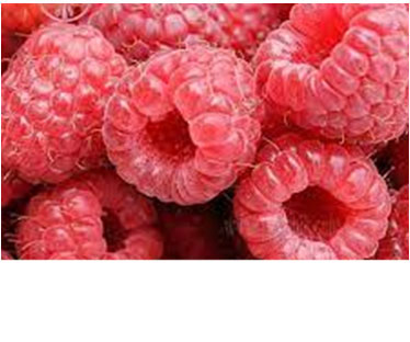 Roseberry