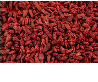Goji berry