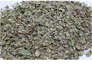 Dried thyme