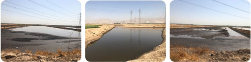 Environment project