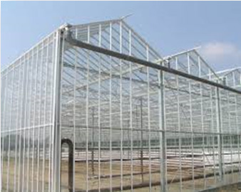 Greenhouse