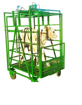 Weighting calve box