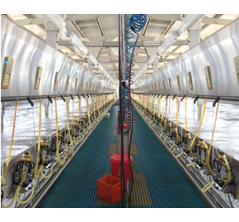 BouMatic &amp; Milk right