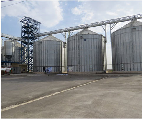 Livestock feed production plant