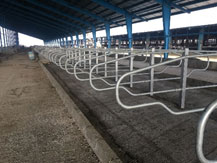 Livestock making