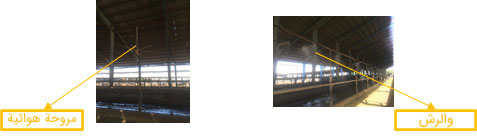 Livestock making