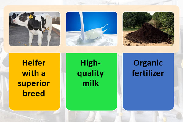 Livestock products