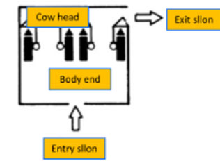 سالن شیردوشی