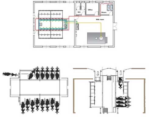 سالن شیردوشی