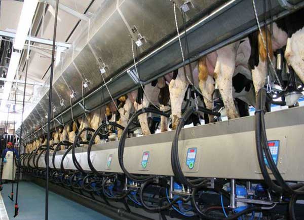 سالن شیردوشی