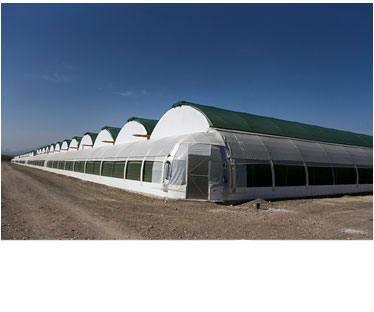 Greenhouse structure