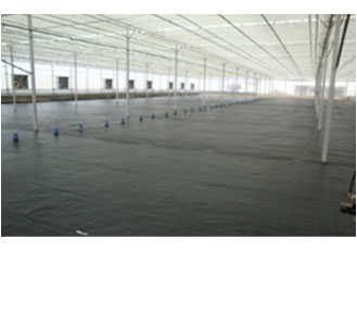 Greenhouse's floor coverage