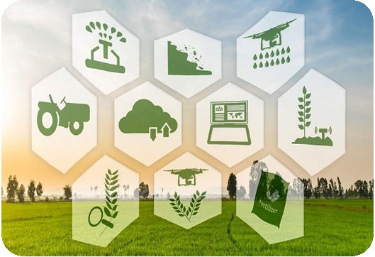IoT in Agriculture and Animal Husbandry
