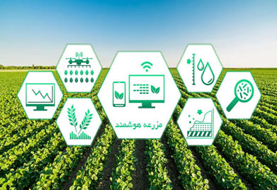 IoT in Agriculture and Animal Husbandry