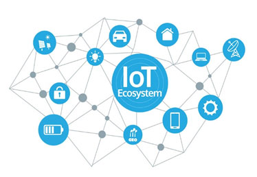 IoT in Agriculture and Animal Husbandry
