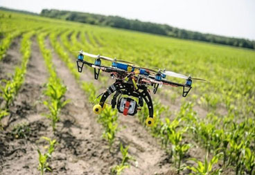 IoT in Agriculture and Animal Husbandry