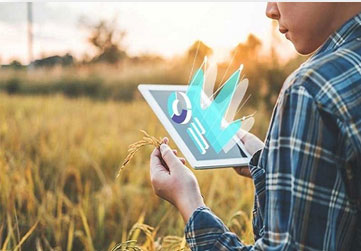 IoT in Agriculture and Animal Husbandry