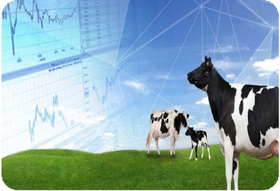 IoT in Agriculture and Animal Husbandry